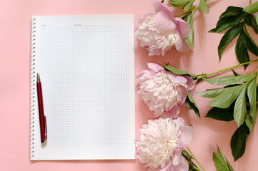 Notebook, pen and peonies flowers on a pink background. Top view. Copy space for text. Feminine concept.