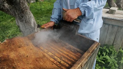 Close-up view of beekeeper using a smoker to calm down the bees. Beekeeper 's hands with smoke tool