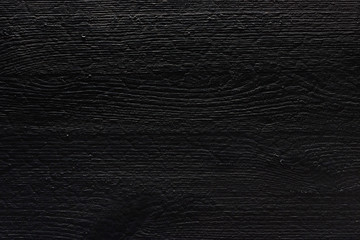 Part of the door of a beautiful abstract loft of decorative black paint with a tree structure. Art cover stylized textural banner with space for text decoration.