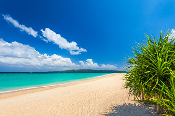 Fototapeta na wymiar White sand beach Boracay island, Philippines