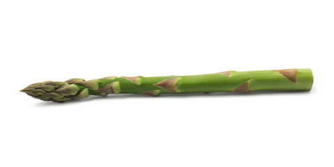 fresh green asparagus on a white background