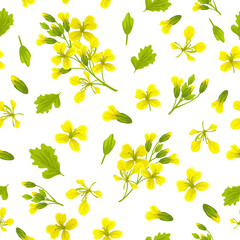 Seamless background of flower and leaves mustard. Vector illustration.