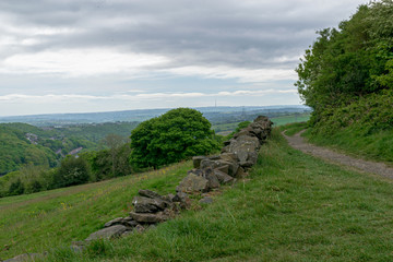 landscape with green grass and blue sky