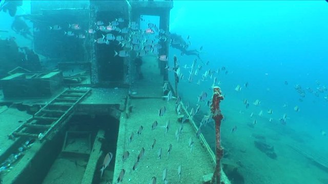 wreck dive underwater fish around ship wreck ocean scenery metal on seabed