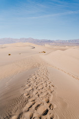 Sand dunes in Death Valley National Park. Mesquite Flat Sand Dunes vertical nude color photo