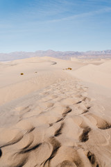 Sand dunes in Death Valley National Park. Mesquite Flat Sand Dunes vertical nude color photo