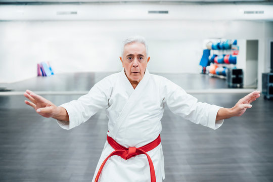 Senior Karate master performing combat techniques