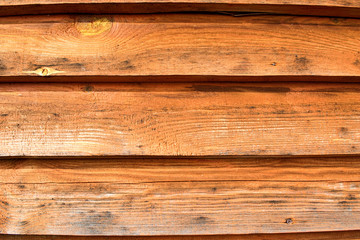 Obraz premium background texture of wood painted in orange