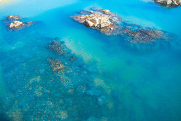 Fototapeta na wymiar underwater view of a coral reef