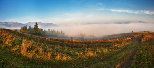 foggy morning in the mountains. Autumn sunrise in the Carpathians