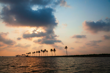 Alappuzha backwaters landscape in Kerala