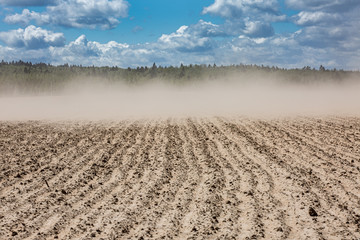 wind with dust over dried field after several days without rains