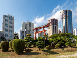 landscape of the Japanese garden of São José dos Campos
