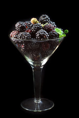 Blackberries in cocktail glass isolated