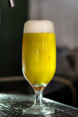 glass of beer