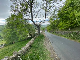 A tree lined country road lined with old trees and a stone wall, leading into Shibden Valley, Halifax UK