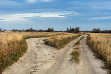 Fototapeta na wymiar Two country roads in the southern steppe, grassland by Black sea, Ukraine