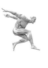 muscleman anatomy heroic body jumping in white background