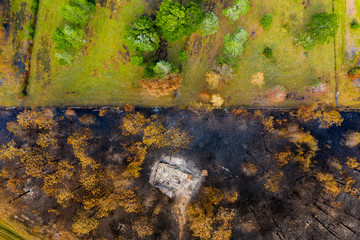 Forest wildfire in the forest with some burned trees and houses. Ashes from wood and houses