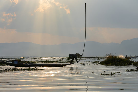 Lake Inle fishermen beat the water with long sticks to scare fish in to their nets
