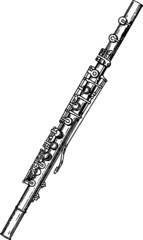 Black and White Flute Drawing