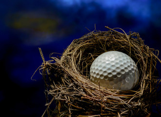 Ball for golf in the bird's nest on the night sky background. Conceptual photography.
