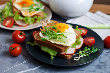Sandwiches with fried egg, meat, tomatoes, peas sprouts and green salad. Breakfast on a black and white plate.