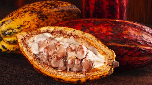 Fruit cocoa on a wooden table.