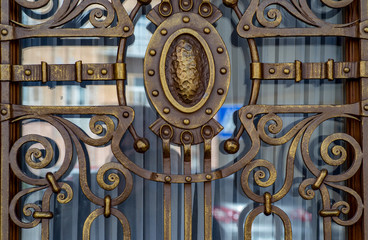 decorative elements of wrought iron grilles in the door and windows