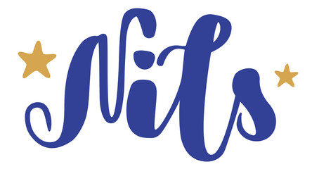 German spelling of the male name Nils. German lettering. Deutsch spelling. Calligraphy male name, isolated over white.