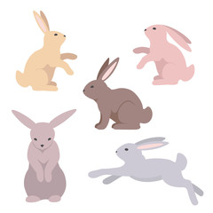 Rabbits 4