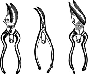 Hand Drawn illustration of a Plant Clippers