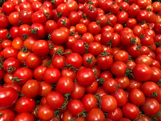 Vegetarian food concept - close up sweet red tomatoes