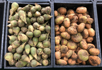 Radish vegetables in boxes, food and retail concept