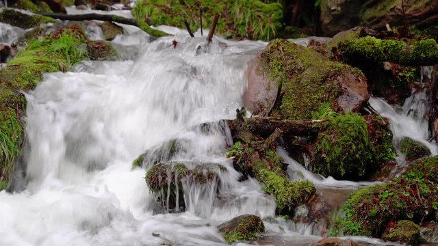 A small stream in a ravine has swelled to a raging whitewater after heavy rains