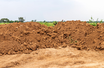 Lots of loam on the ground near the rice fields.