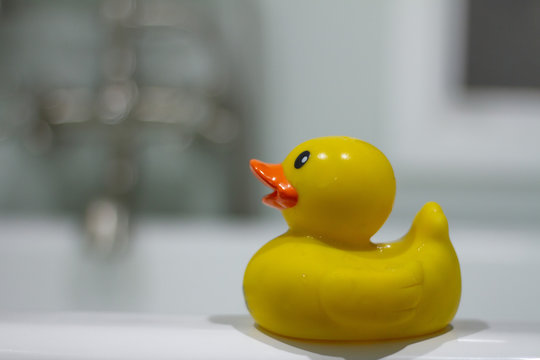 A yellow rubber duck.