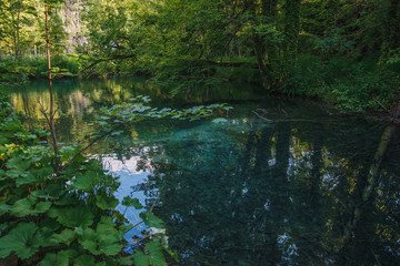 Plitvice Lakes National Park, Croatia. One of the most beautiful places in the world.