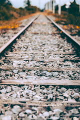 railway in the autumn