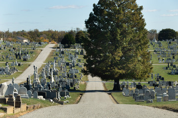 cemetery in the park