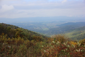 autumn landscape in the mountains