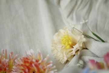 Fototapeta na wymiar bouquet