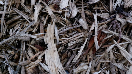 Wood Chips