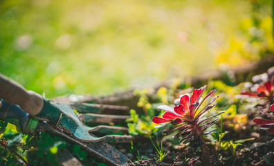 Shovel in the soil - gardening background