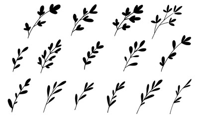 Hand drawn vector flowers branches and leaves. Botanical sketch collection. Decorative elements for design. Ink, vintage, rustic.