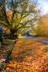 Halifax residential street view in autumn with dense maple leaves and fall foliage, Nova Scotia, Canada