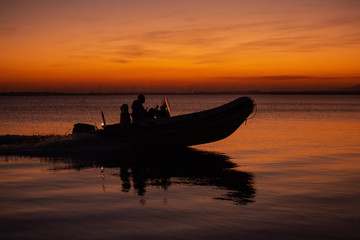 Boar on the river, Brazil sunset