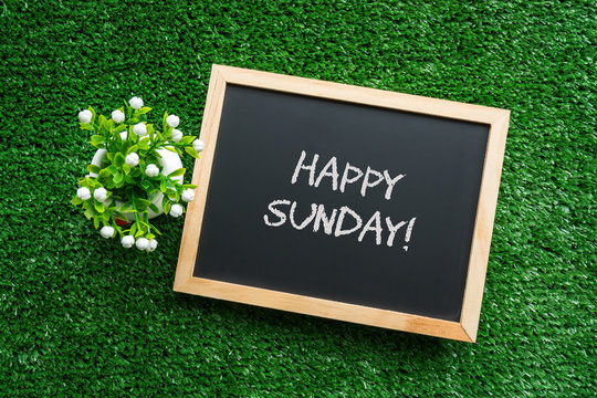 HAPPY SUNDAY text in white chalk handwriting on a blackboard with flower in small pot. Green grass background.