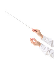 Hands of little conductor on white background