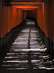 伏見稲荷大社の千本鳥居（日本京都府）